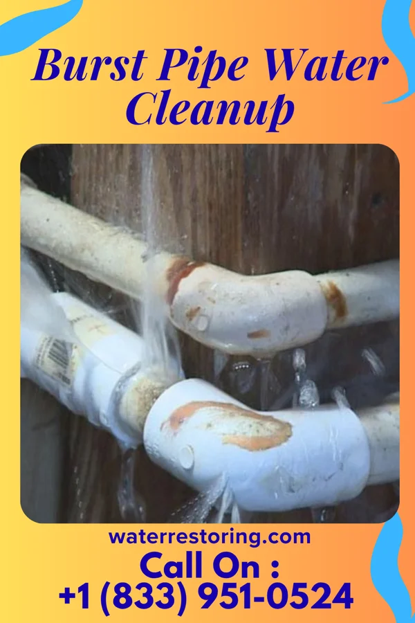 Burst Pipe Water Cleanup in Plumwood, OH