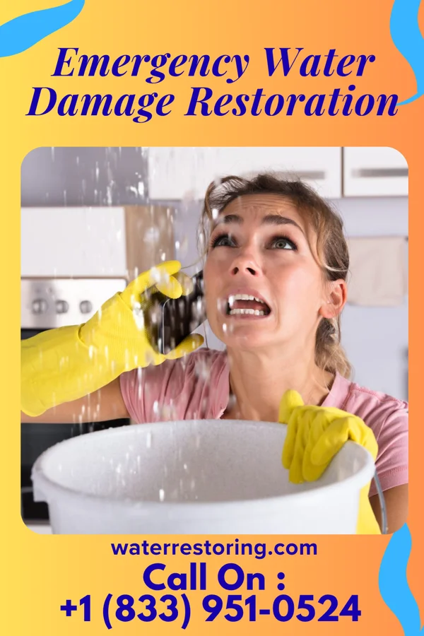 Emergency Water Damage Restoration in Plumwood, OH