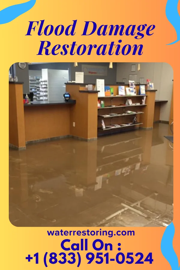 Flood Damage Restoration in Plumwood, OH