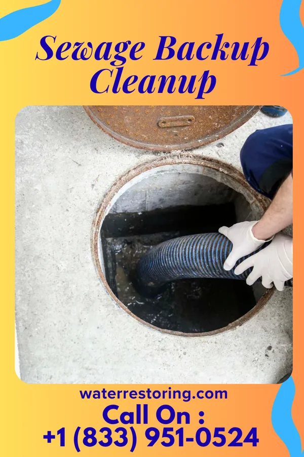 Sewage Backup Cleanup in Plumwood, OH